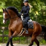 Horse Ride